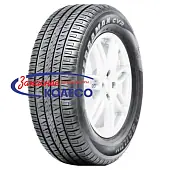 Terramax CVR
